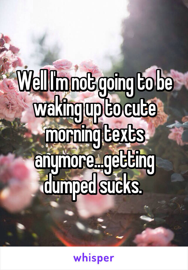 Well I'm not going to be waking up to cute morning texts anymore...getting dumped sucks. 