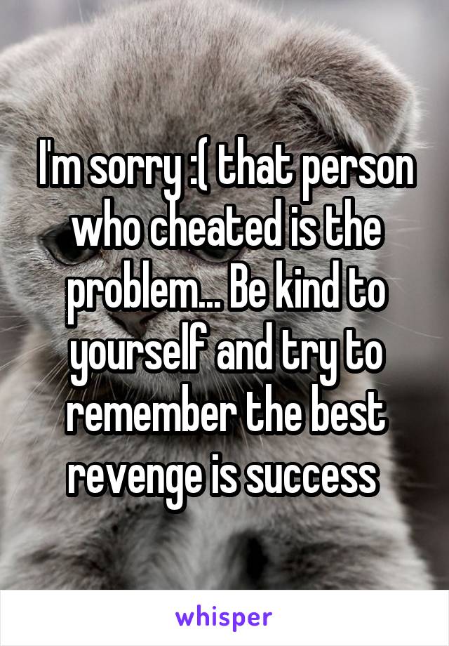 I'm sorry :( that person who cheated is the problem... Be kind to yourself and try to remember the best revenge is success 