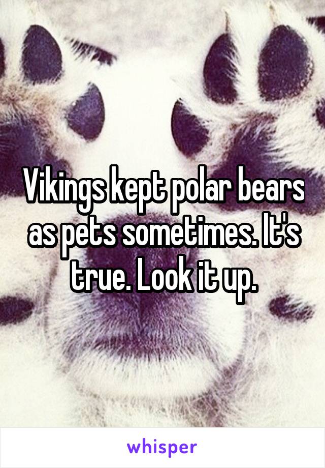 Vikings kept polar bears as pets sometimes. It's true. Look it up.