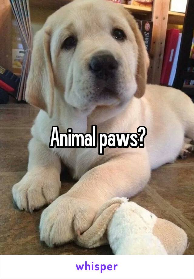 Animal paws?