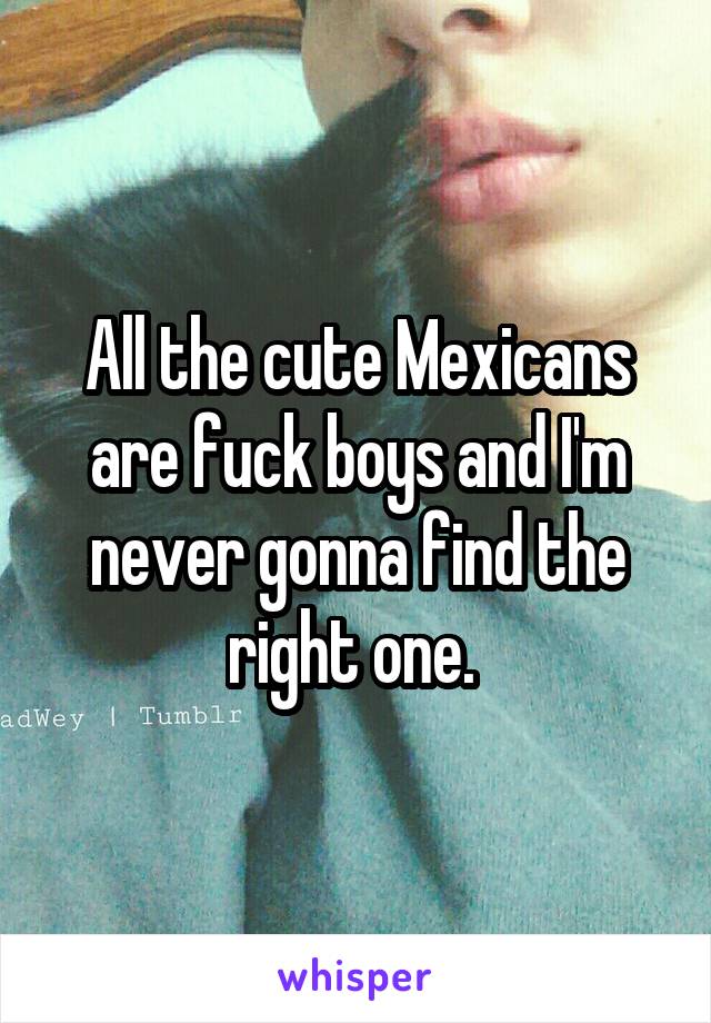 All the cute Mexicans are fuck boys and I'm never gonna find the right one. 