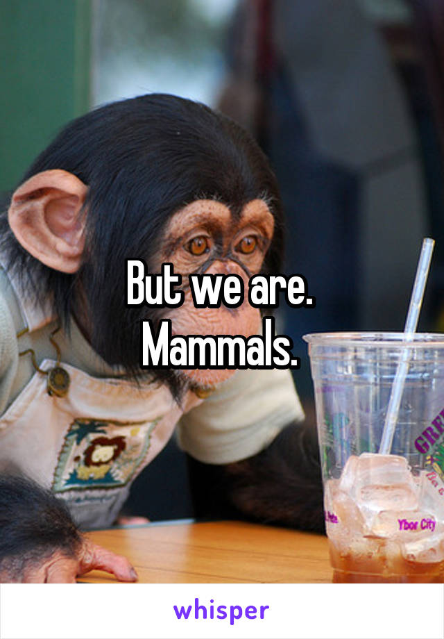 But we are. 
Mammals. 