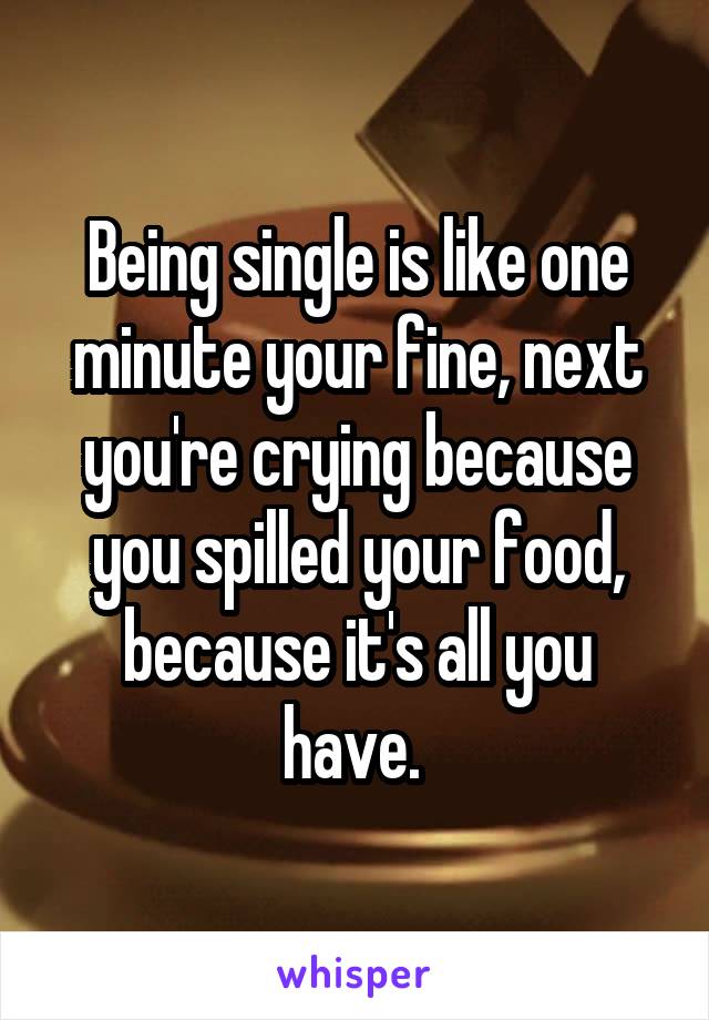 Being single is like one minute your fine, next you're crying because you spilled your food, because it's all you have. 