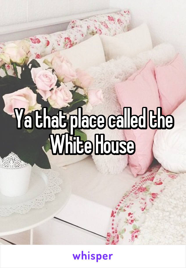 Ya that place called the White House 