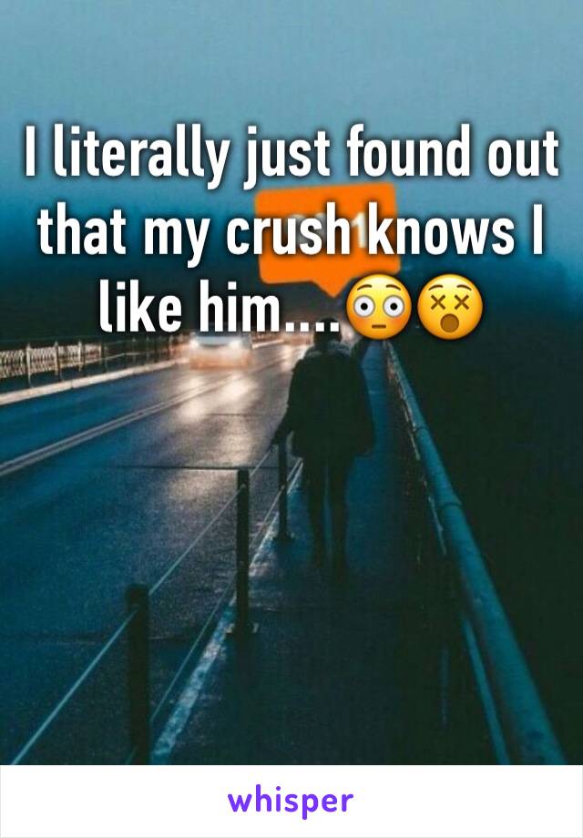 I literally just found out that my crush knows I like him....😳😵