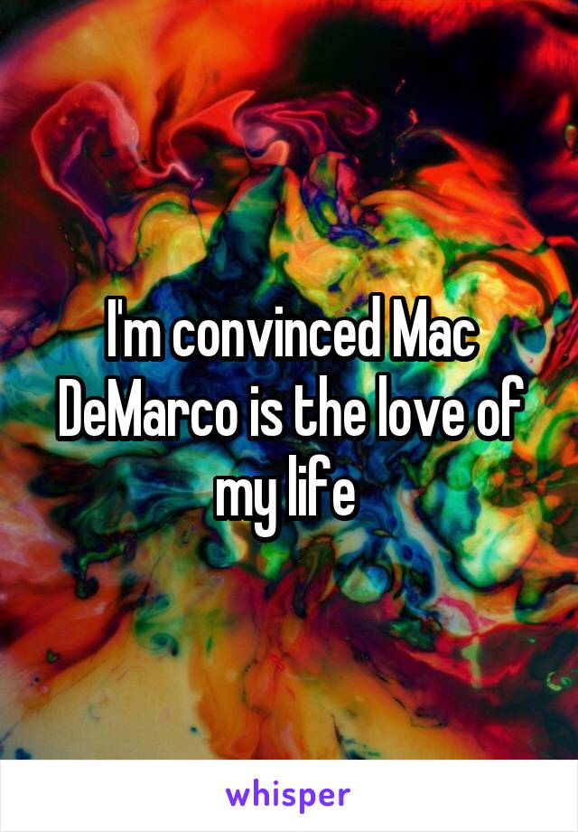 I'm convinced Mac DeMarco is the love of my life 