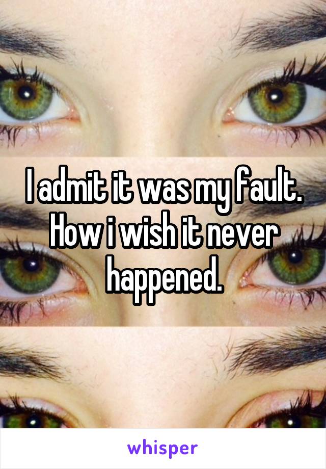 I admit it was my fault. How i wish it never happened.