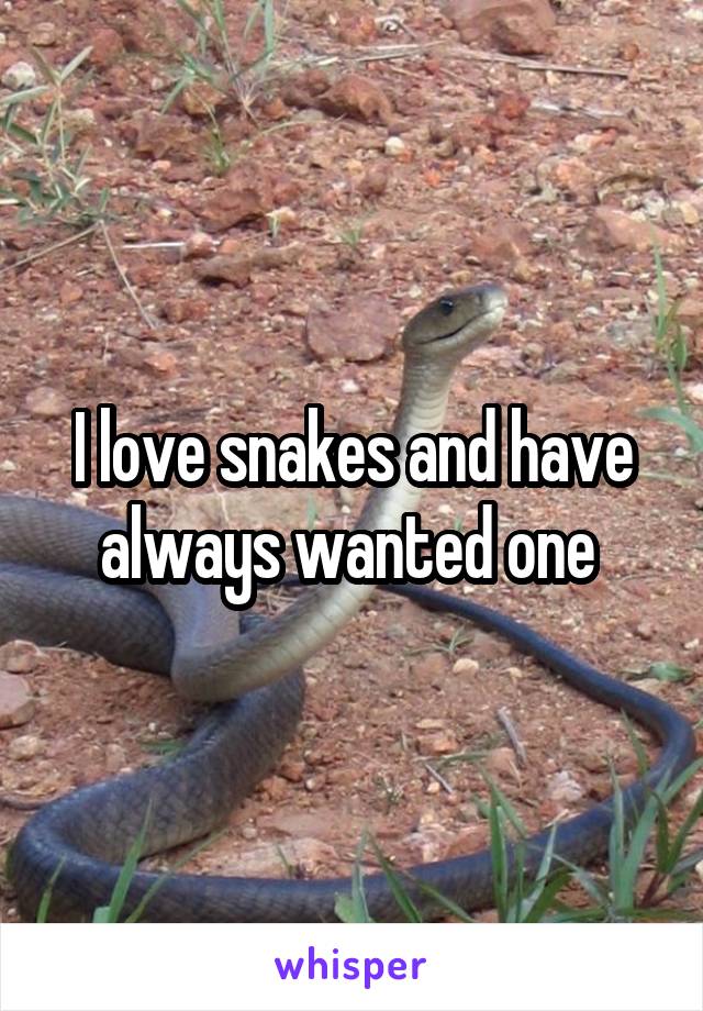 I love snakes and have always wanted one 