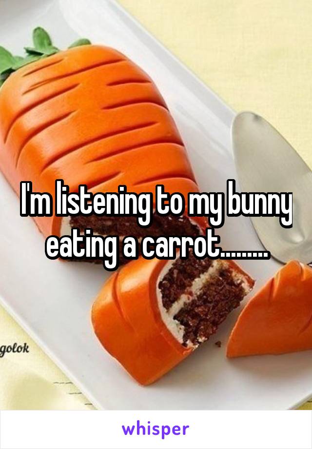 I'm listening to my bunny eating a carrot.........