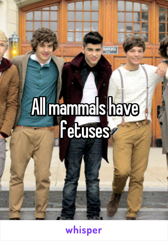 All mammals have fetuses