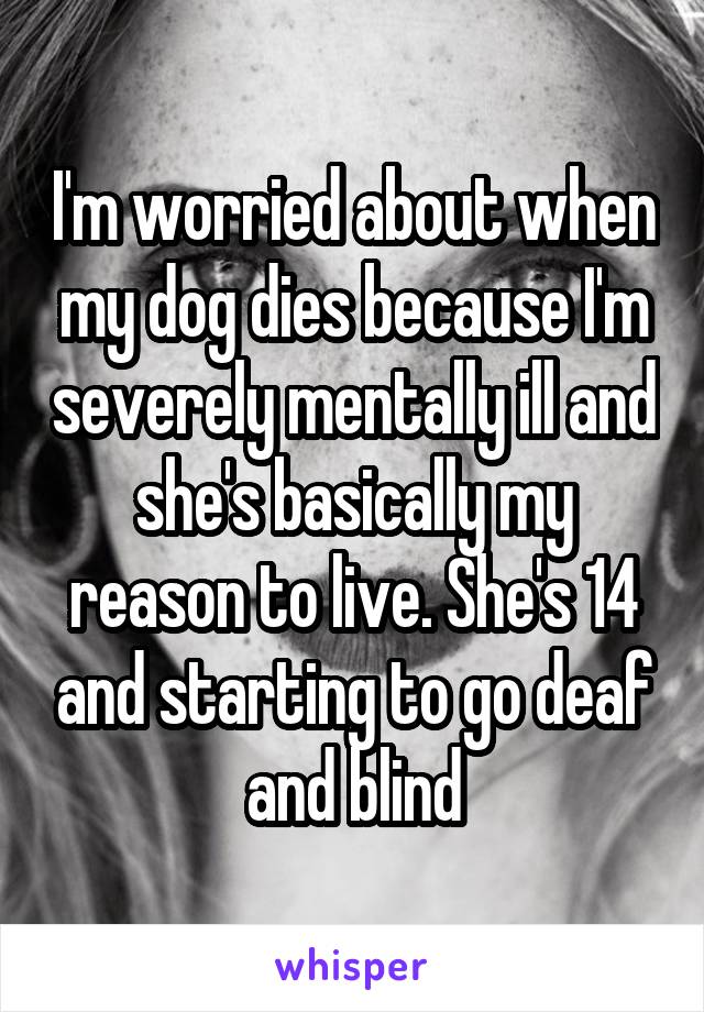 I'm worried about when my dog dies because I'm severely mentally ill and she's basically my reason to live. She's 14 and starting to go deaf and blind