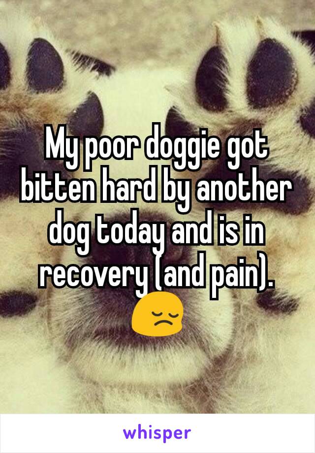 My poor doggie got bitten hard by another dog today and is in recovery (and pain).
😔