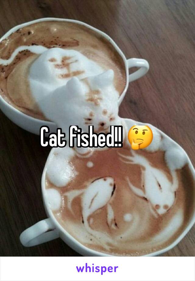 Cat fished!! 🤔