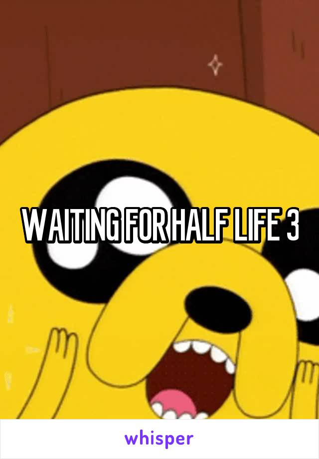 WAITING FOR HALF LIFE 3