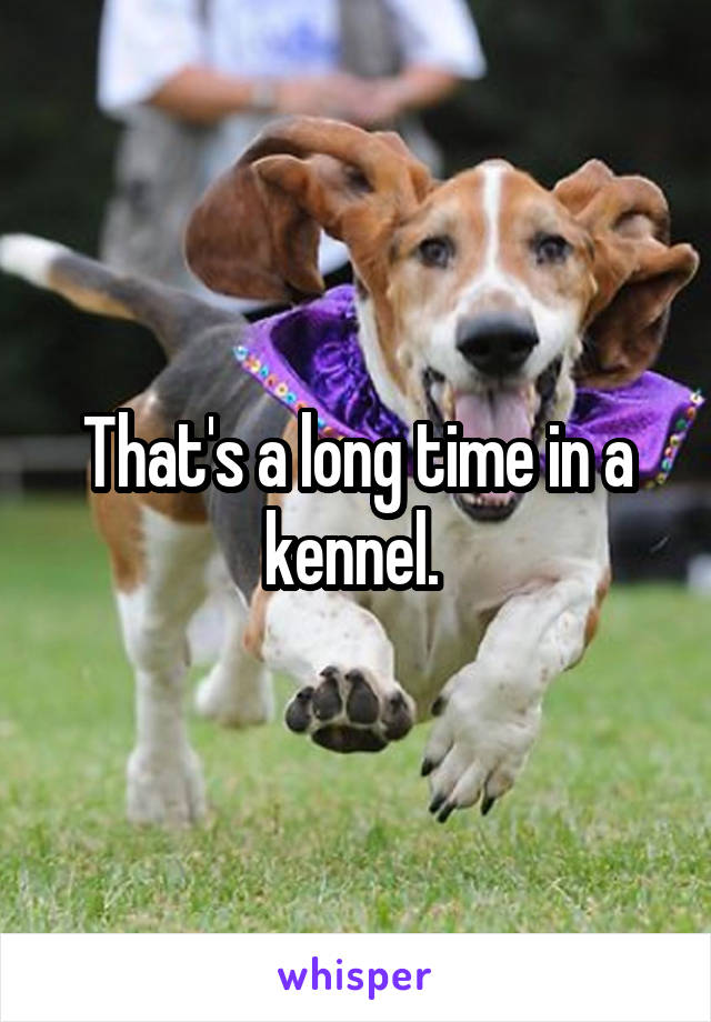 That's a long time in a kennel. 
