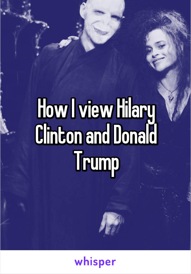 How I view Hilary Clinton and Donald Trump