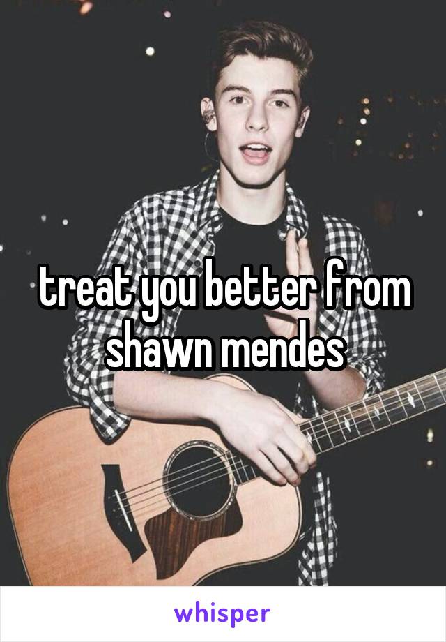 treat you better from shawn mendes