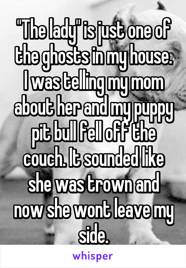 "The lady" is just one of the ghosts in my house. I was telling my mom about her and my puppy pit bull fell off the couch. It sounded like she was trown and now she wont leave my side.