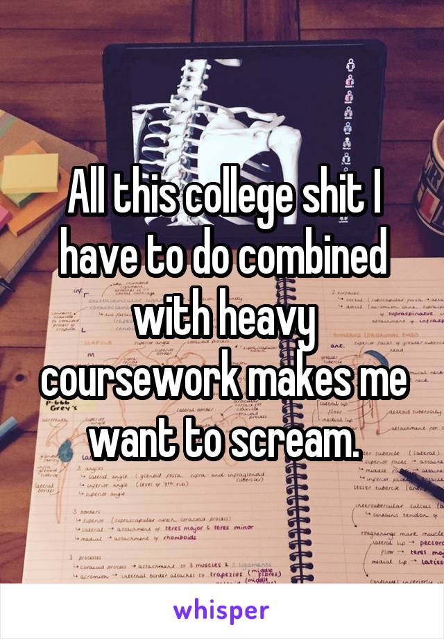All this college shit I have to do combined with heavy coursework makes me want to scream.