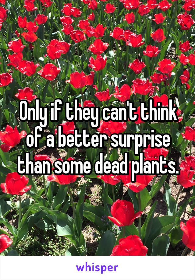 Only if they can't think of a better surprise than some dead plants.