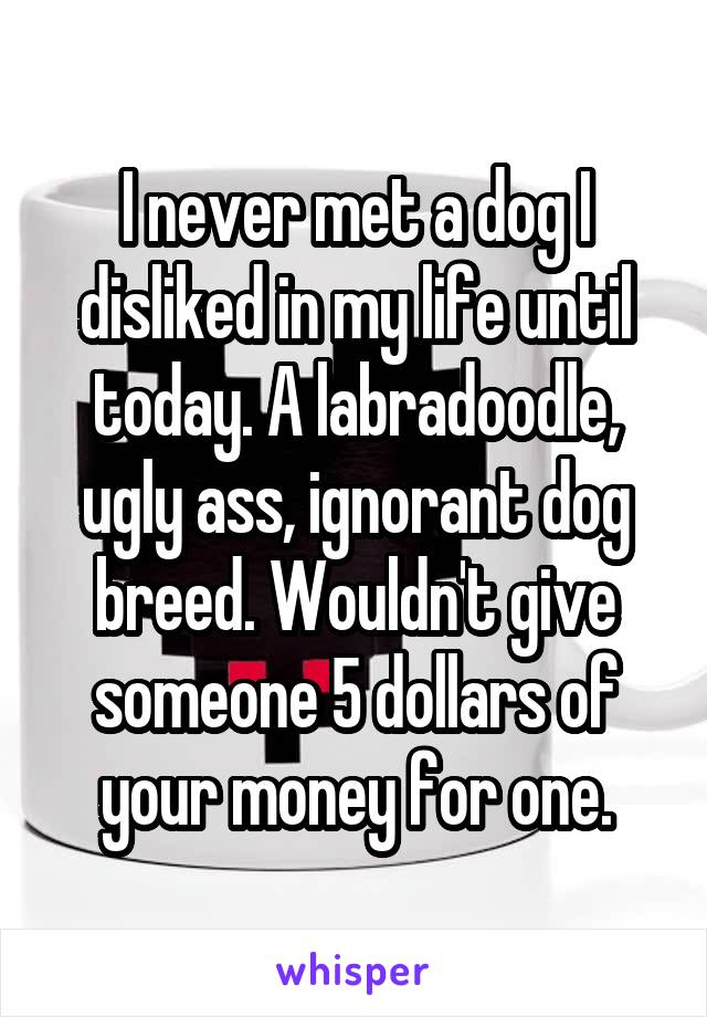 I never met a dog I disliked in my life until today. A labradoodle, ugly ass, ignorant dog breed. Wouldn't give someone 5 dollars of your money for one.