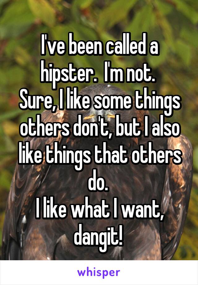 I've been called a hipster.  I'm not. 
Sure, I like some things others don't, but I also like things that others do. 
I like what I want,
dangit! 