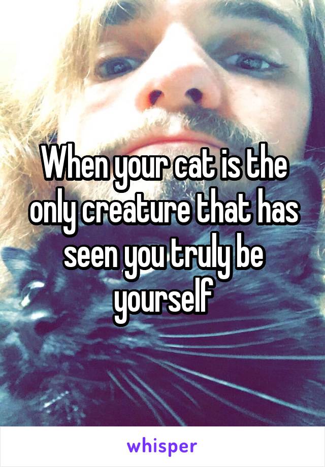 When your cat is the only creature that has seen you truly be yourself