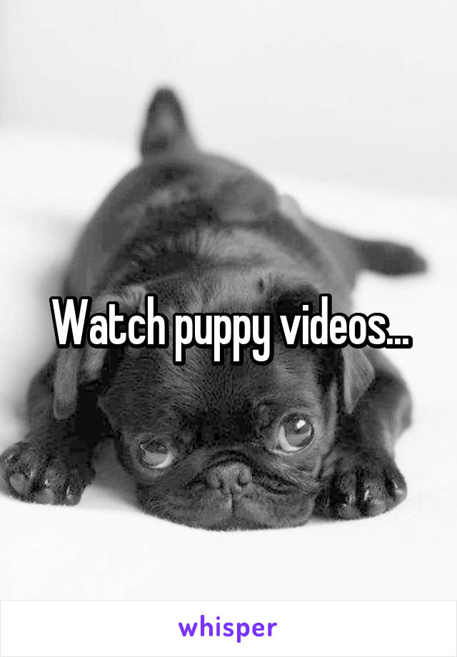 Watch puppy videos...
