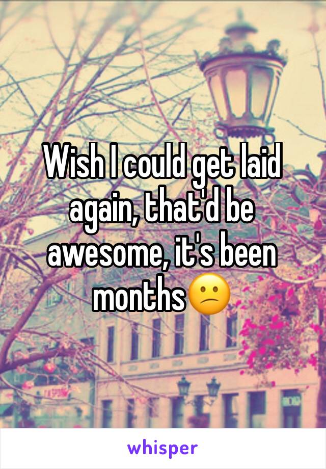 Wish I could get laid again, that'd be awesome, it's been months😕