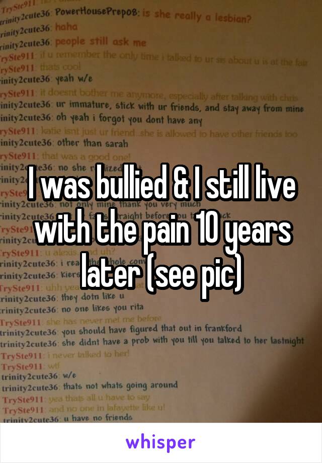 I was bullied & I still live with the pain 10 years later (see pic)