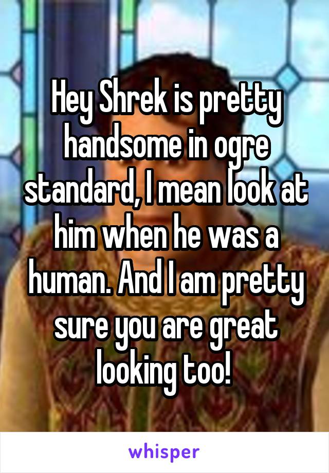 Hey Shrek is pretty handsome in ogre standard, I mean look at him when he was a human. And I am pretty sure you are great looking too! 