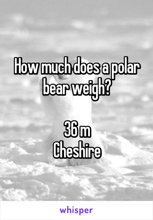 How much does a polar bear weigh?

36 m
Cheshire