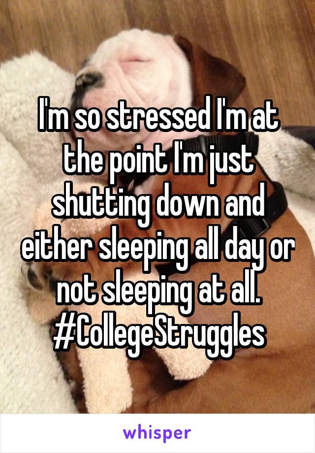 I'm so stressed I'm at the point I'm just shutting down and either sleeping all day or not sleeping at all. #CollegeStruggles