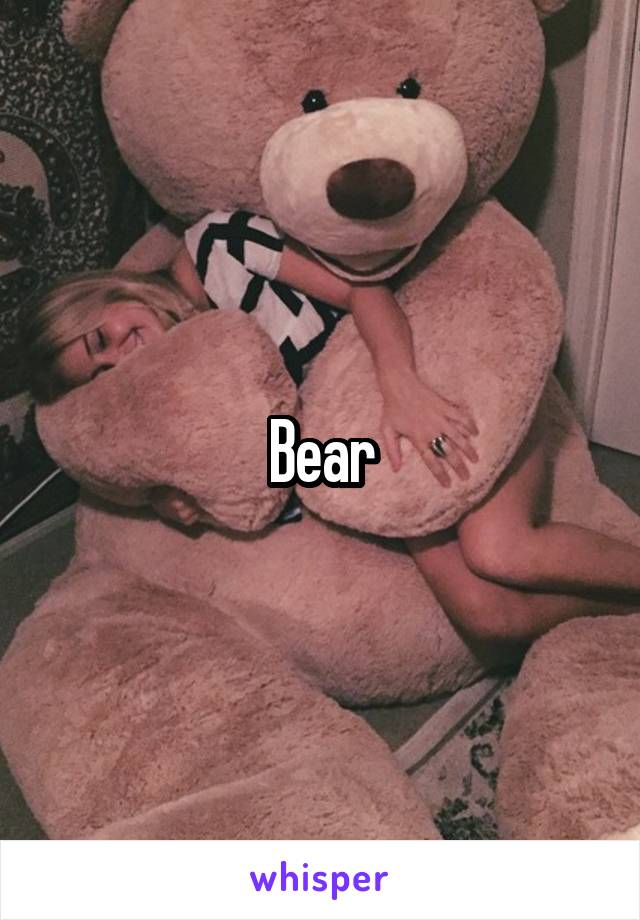 Bear