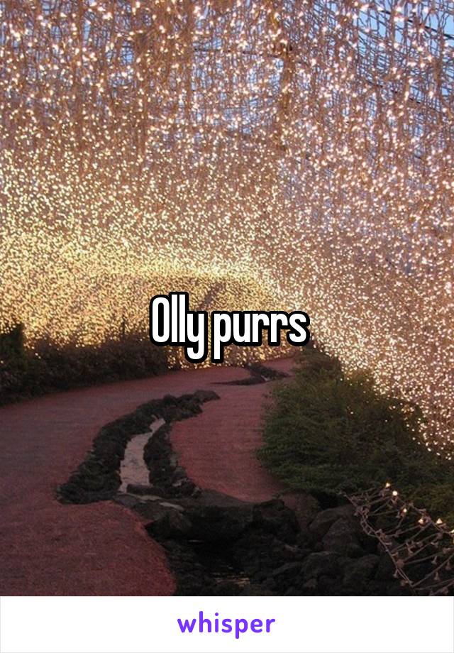 Olly purrs