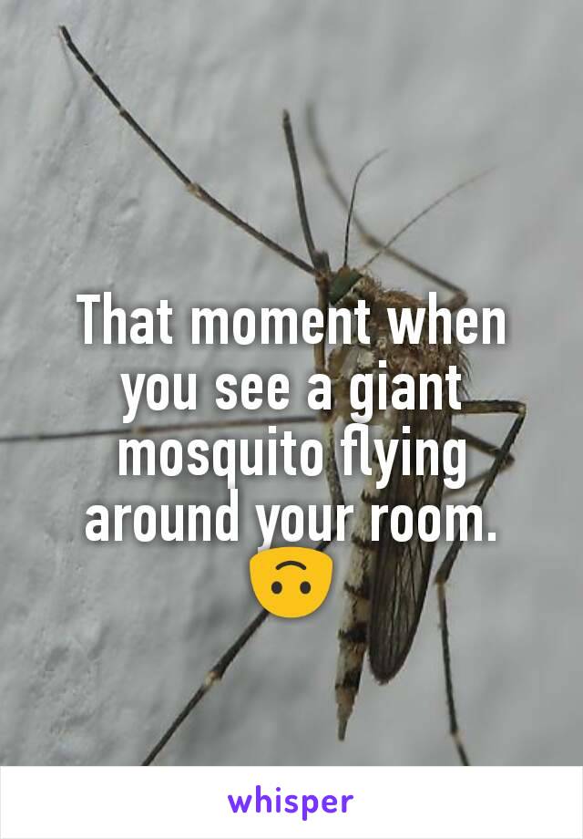 That moment when you see a giant mosquito flying around your room. 🙃