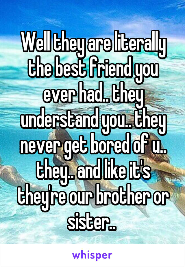 Well they are literally the best friend you ever had.. they understand you.. they never get bored of u.. they.. and like it's they're our brother or sister.. 