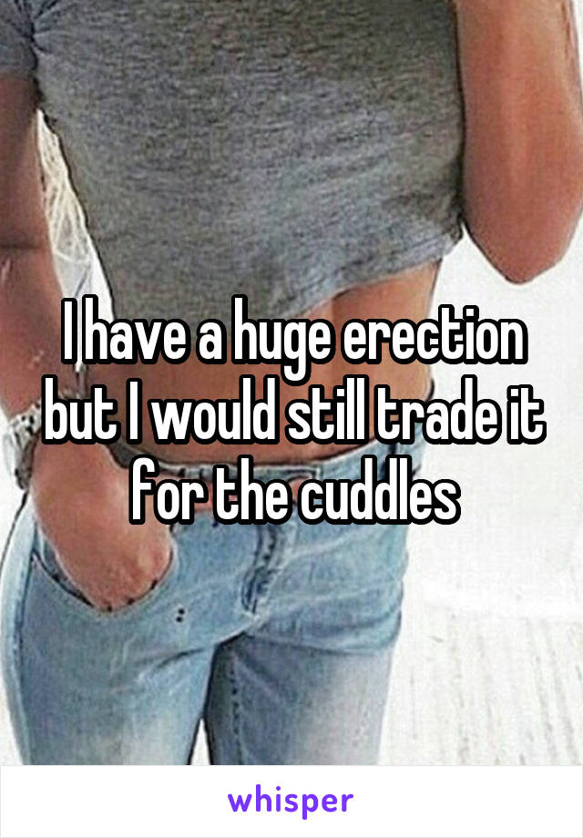 I have a huge erection but I would still trade it for the cuddles