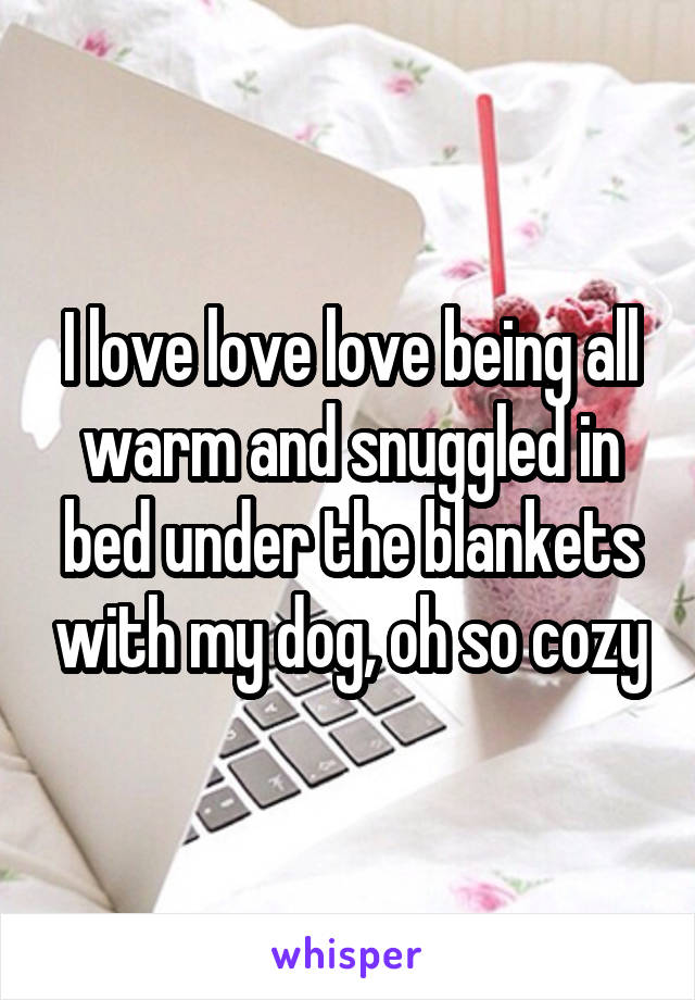 I love love love being all warm and snuggled in bed under the blankets with my dog, oh so cozy