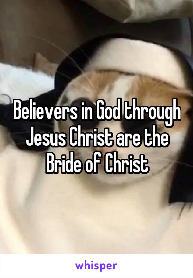 Believers in God through Jesus Christ are the Bride of Christ