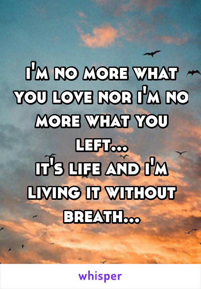 i'm no more what you love nor i'm no more what you left...
it's life and i'm living it without breath...