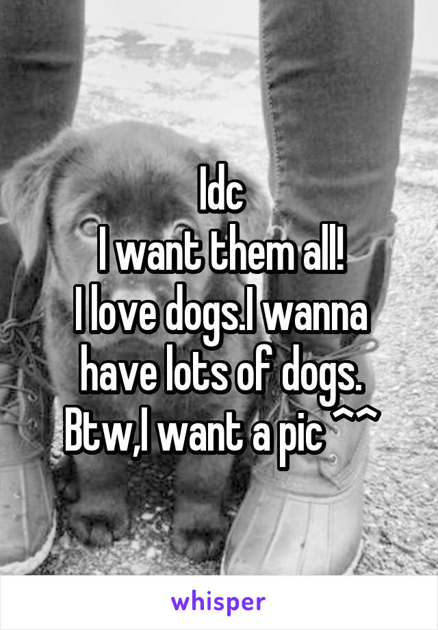 Idc
I want them all!
I love dogs.I wanna have lots of dogs.
Btw,I want a pic ^^