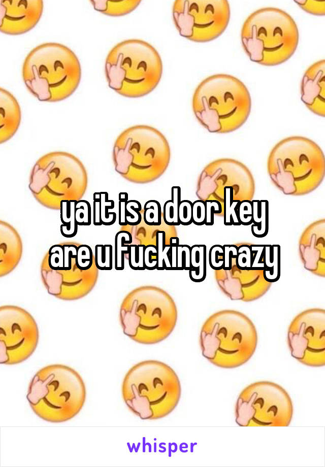 ya it is a door key
are u fucking crazy