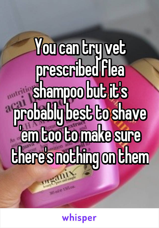 You can try vet prescribed flea shampoo but it's probably best to shave 'em too to make sure there's nothing on them 