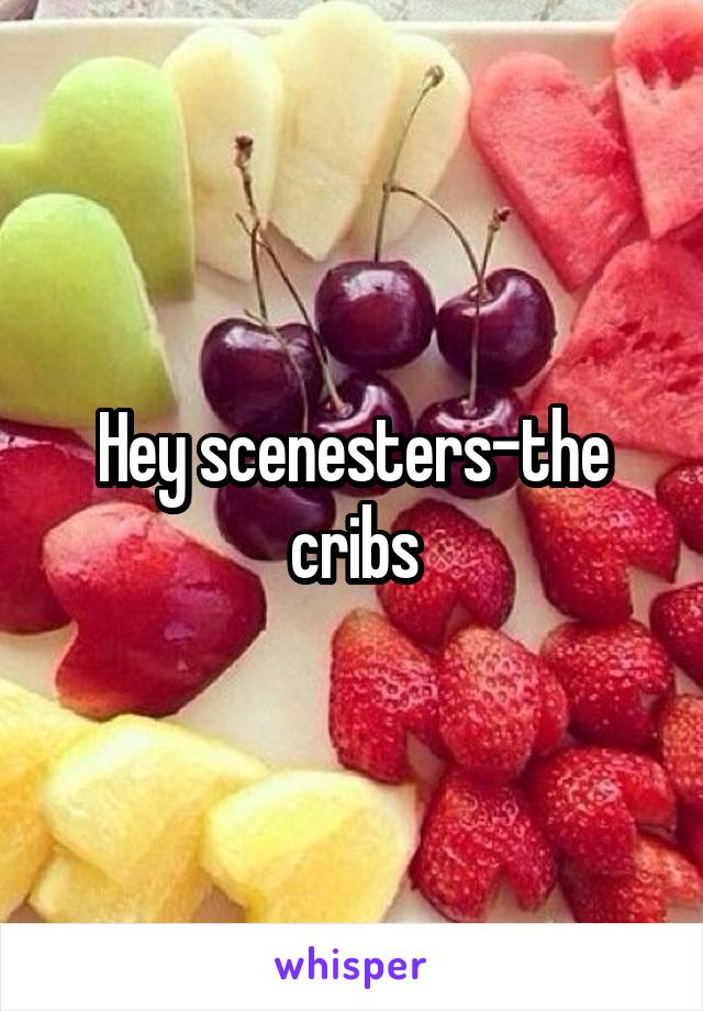 Hey scenesters-the cribs