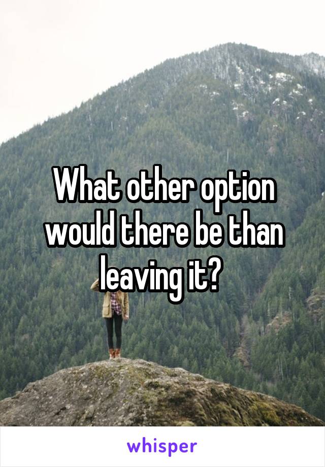 What other option would there be than leaving it? 
