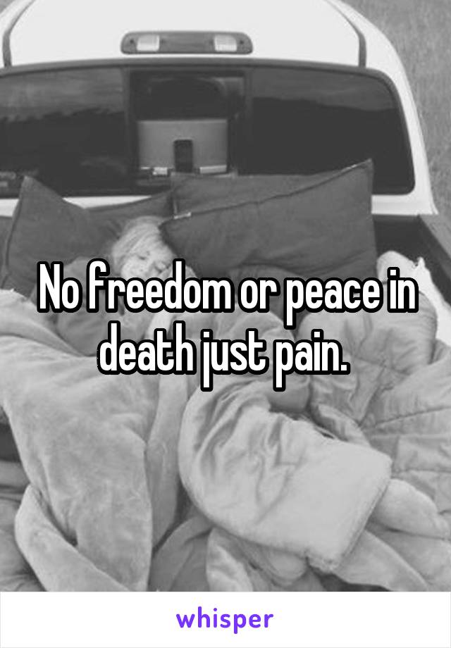 No freedom or peace in death just pain. 