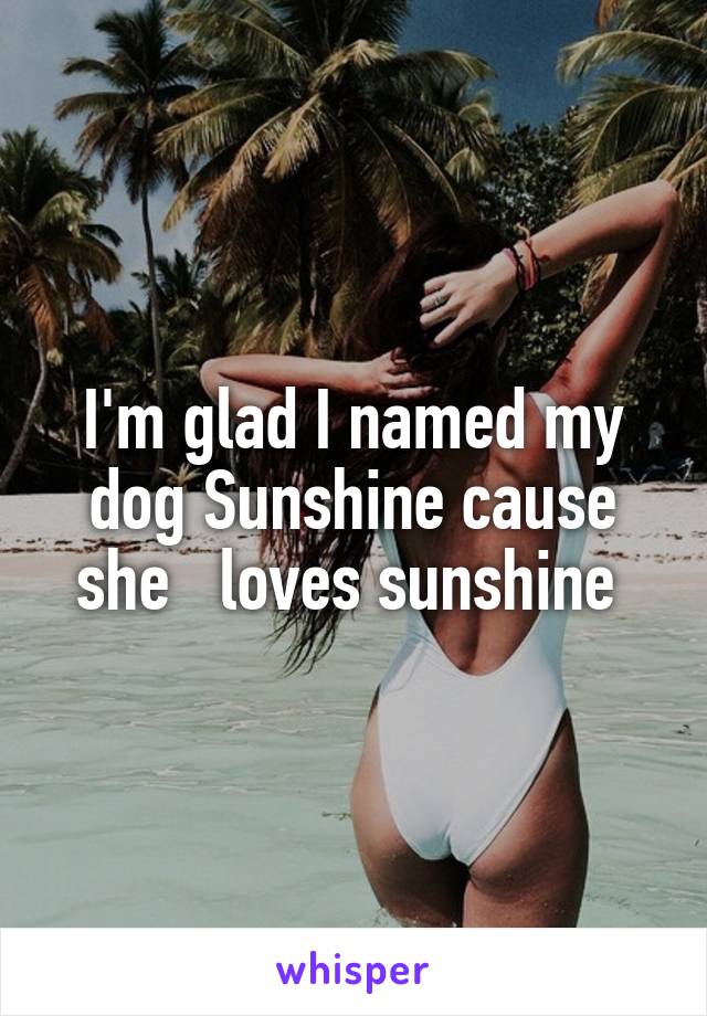 I'm glad I named my dog Sunshine cause she   loves sunshine 