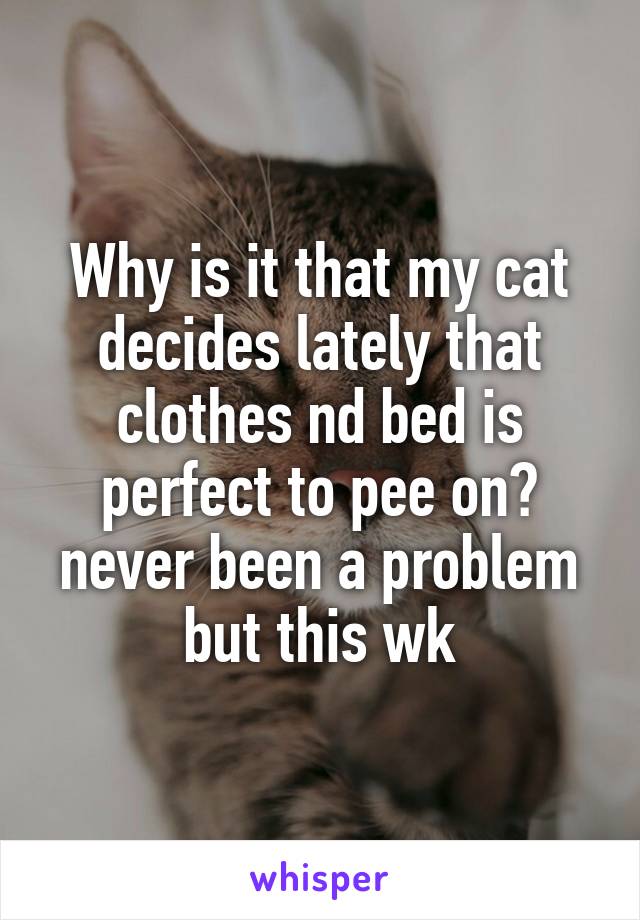 Why is it that my cat decides lately that clothes nd bed is perfect to pee on? never been a problem but this wk