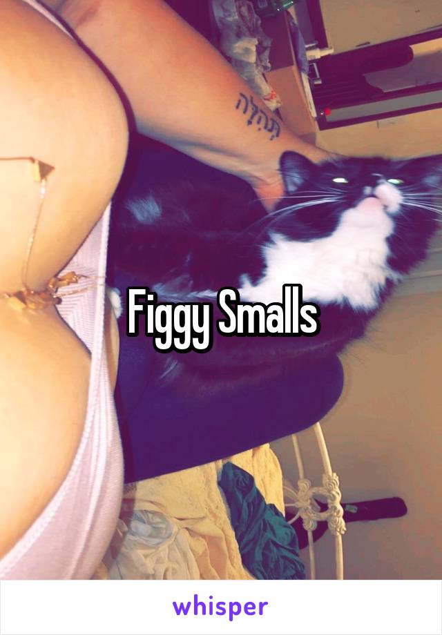 Figgy Smalls